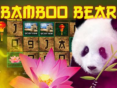 bamboobear_Horizontal.jpg