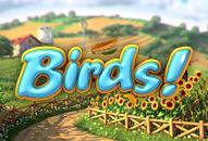 birds_Horizontal.jpg